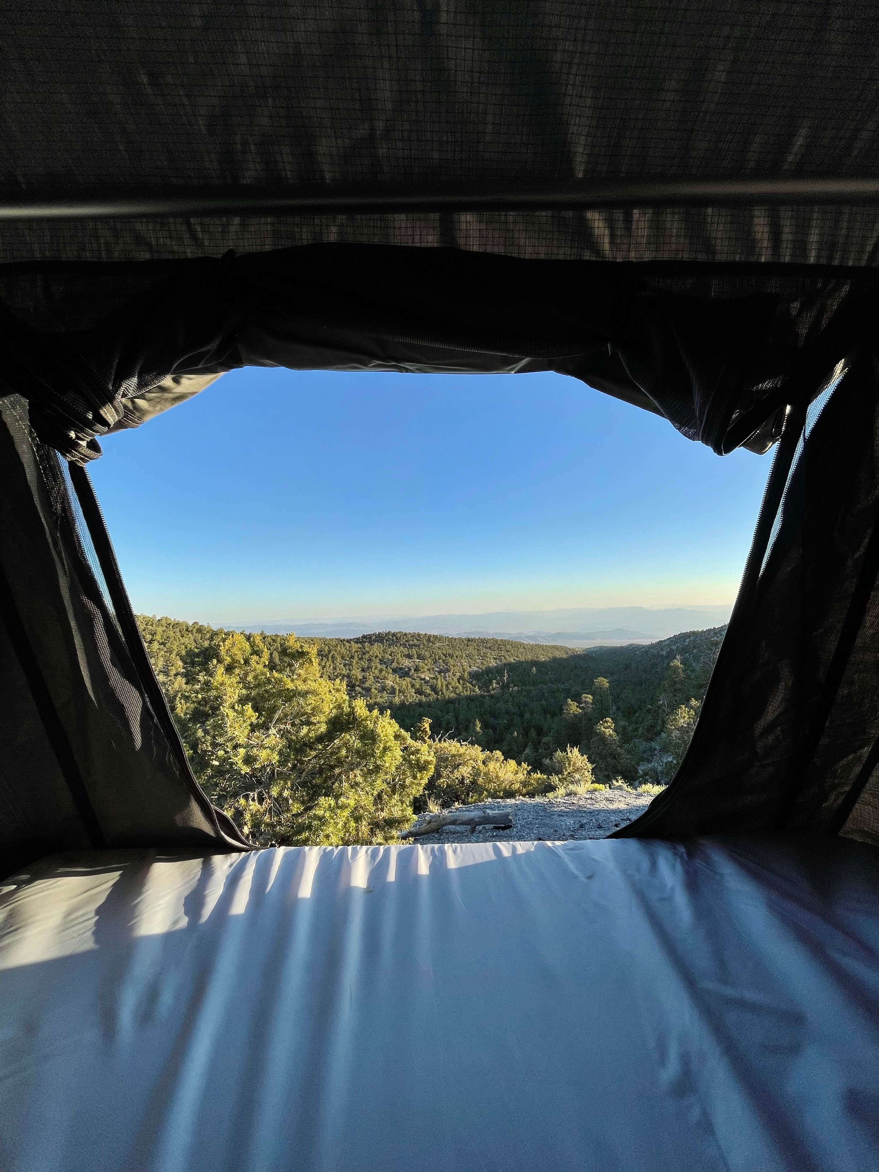 Dallas C.'s photo at Mack's Canyon Dispersed near Mount Charleston, NV