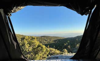 Dallas C.'s photo at Mack's Canyon Dispersed near Mount Charleston, NV