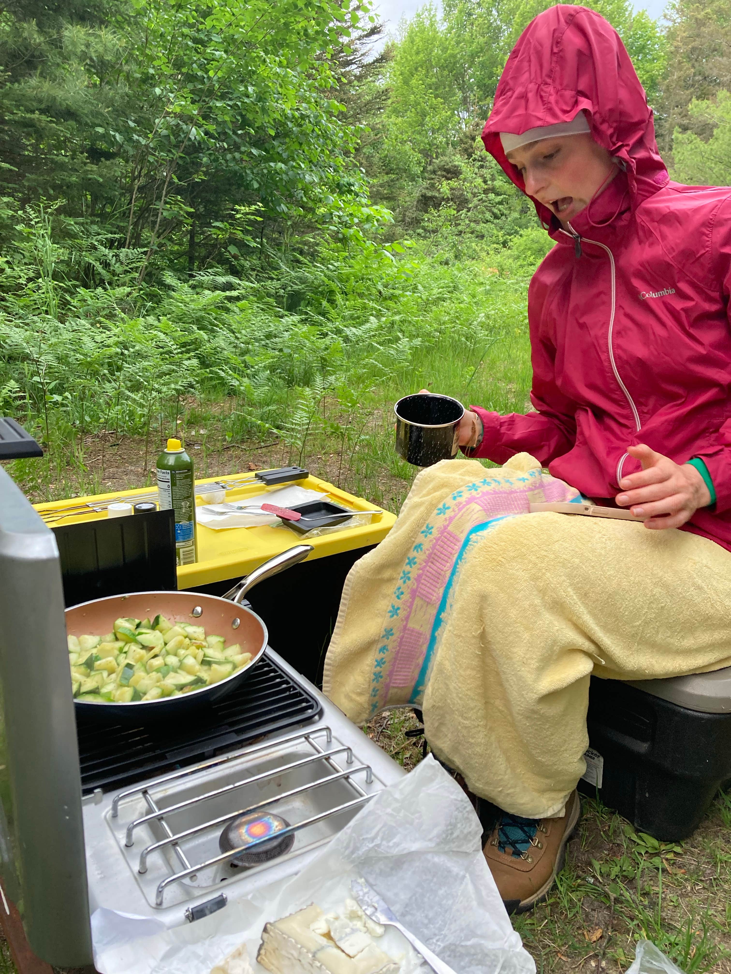 Camper submitted image from Mackinac Trail Spur Site - 2