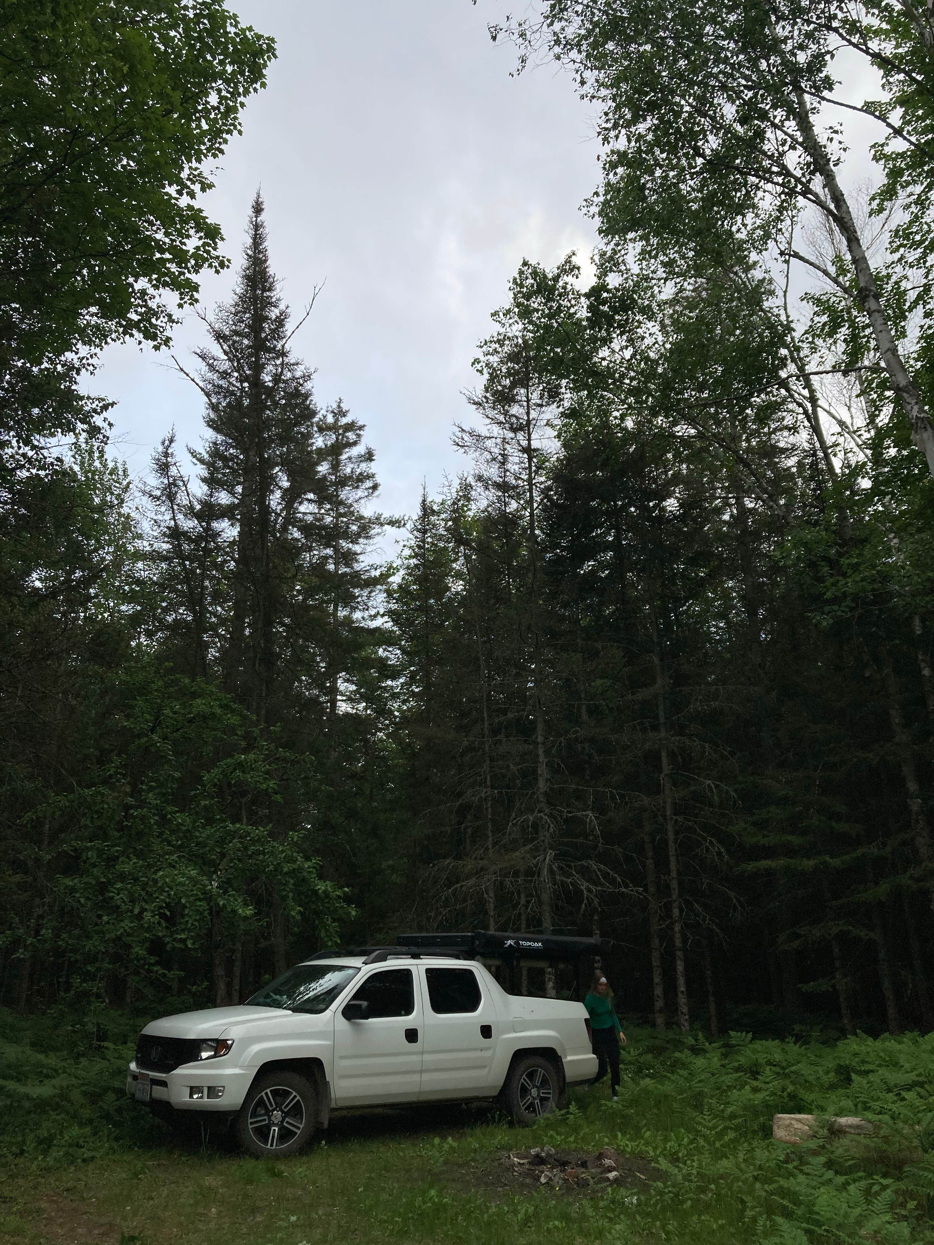 Camper submitted image from Mackinac Trail Spur Site - 1