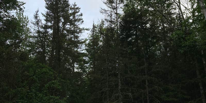 Camper submitted image from Mackinac Trail Spur Site