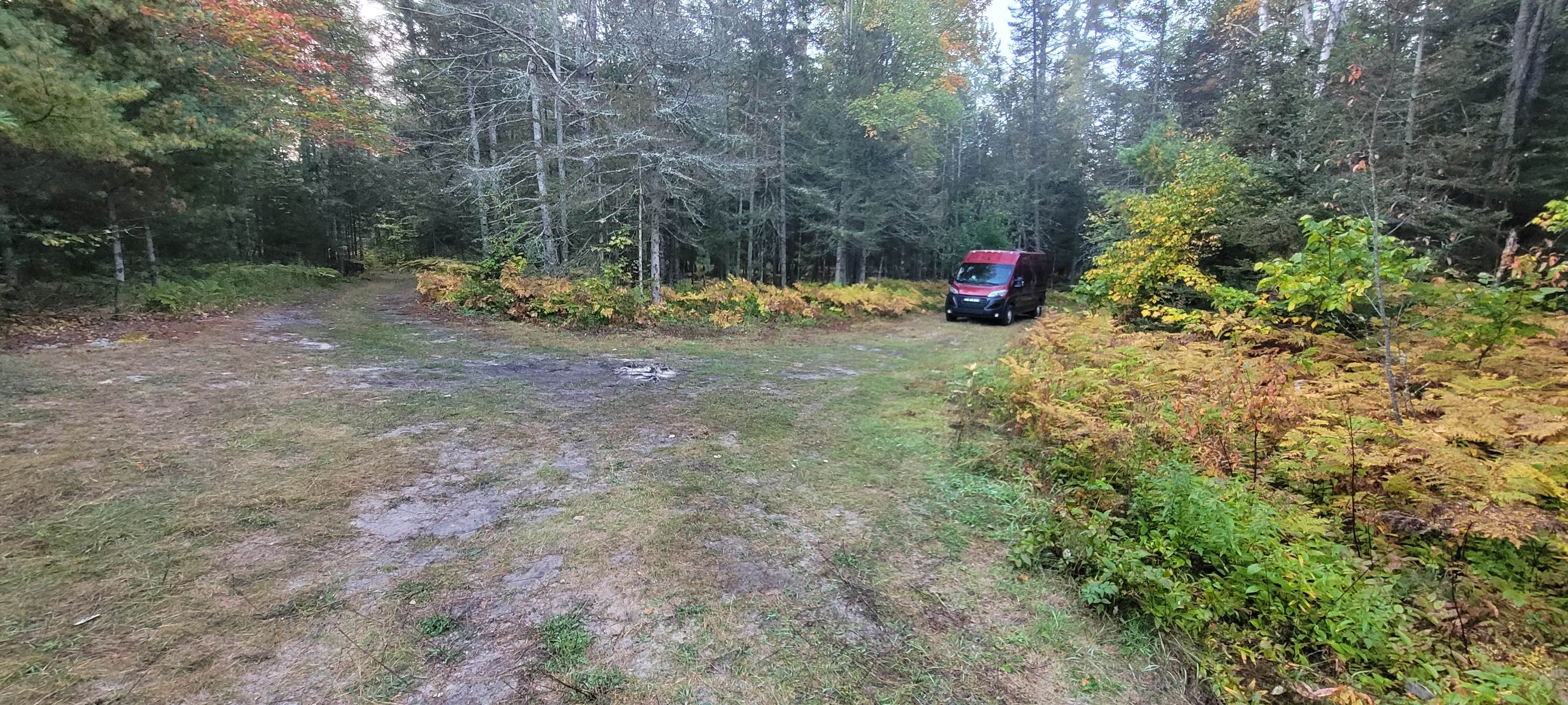Camper-submitted photo at Mackinac Trail Spur Site near Alanson, MI