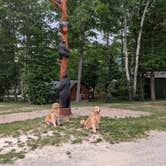 Review photo of Mackinaw City / Mackinac Island KOA by Tammy S., July 15, 2026