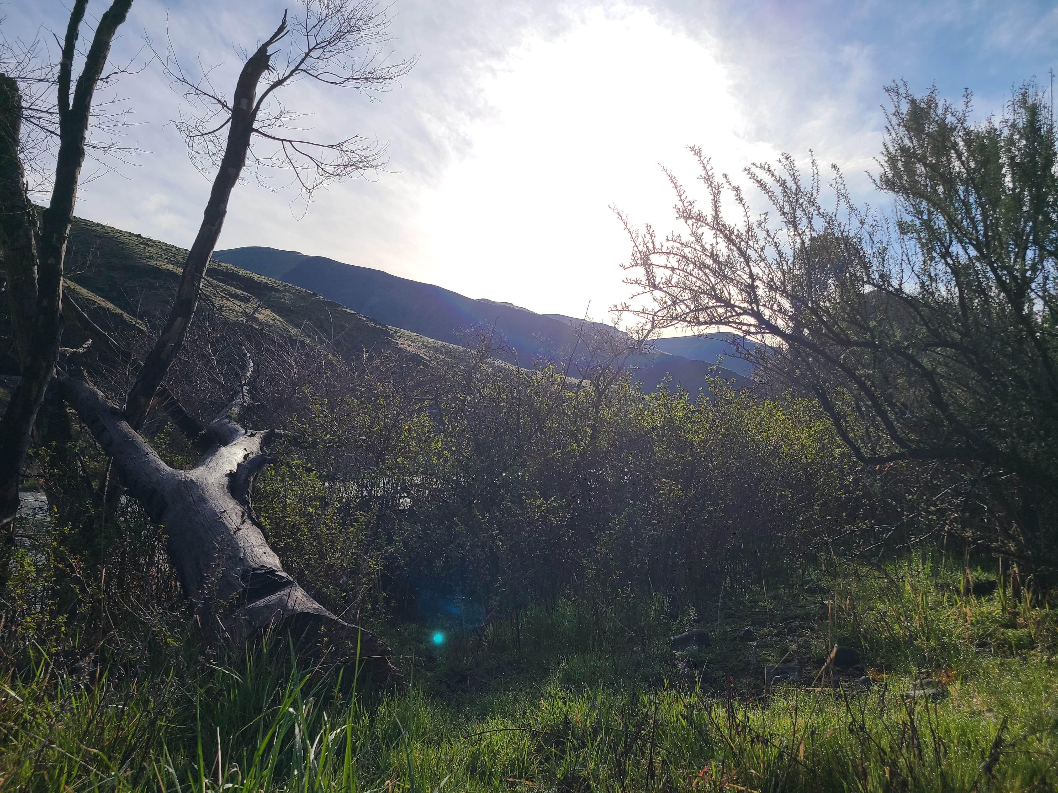 Camper-submitted photo at Macks Canyon Recreation Site near Mikkalo, OR