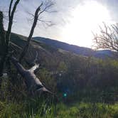 Review photo of Macks Canyon Recreation Site by Logan K., March 25, 2024