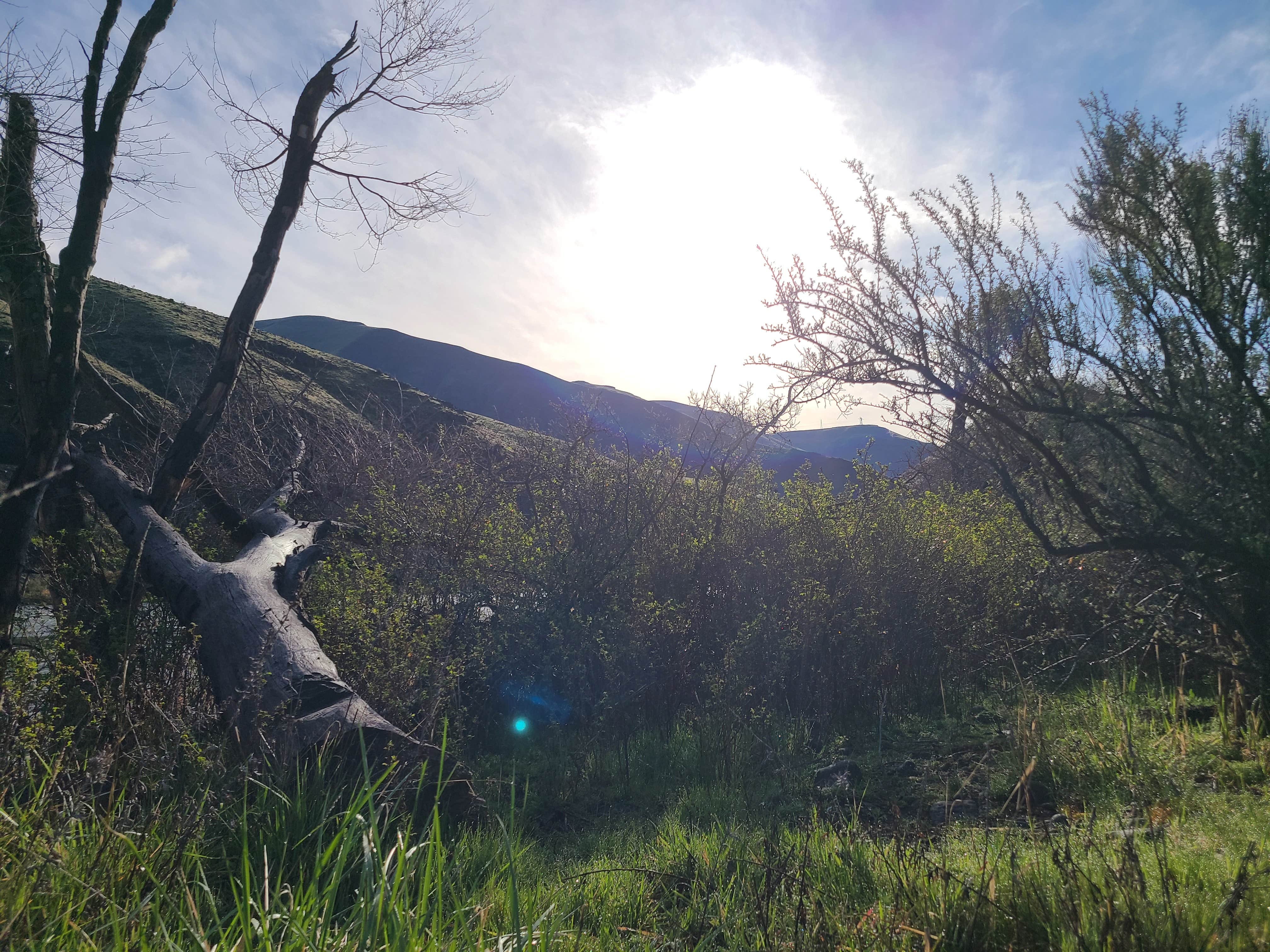 Camper-submitted photo at Macks Canyon Recreation Site near Mikkalo, OR