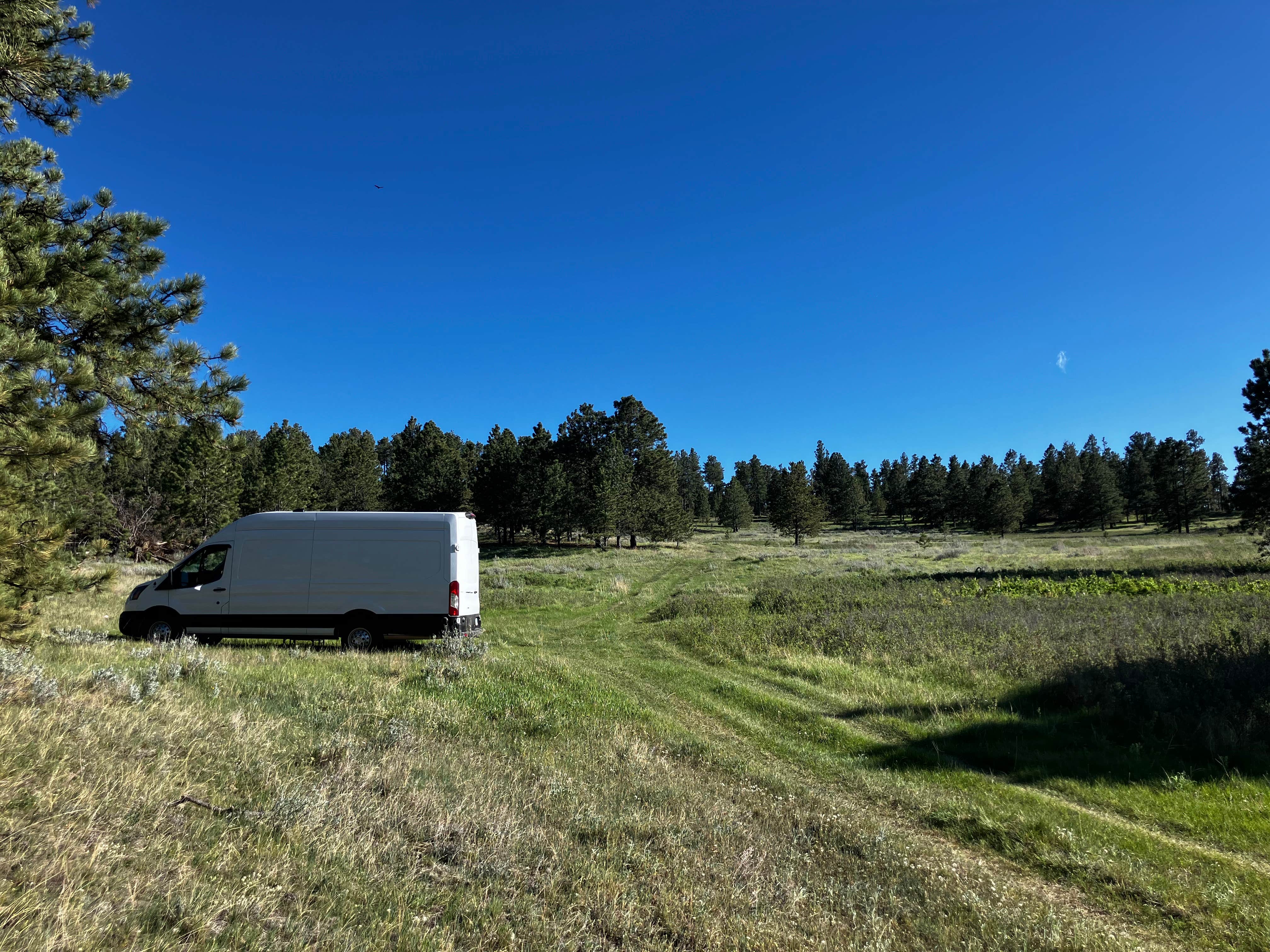 Camper-submitted photo at Macnab Pond Campground near Custer National Forest