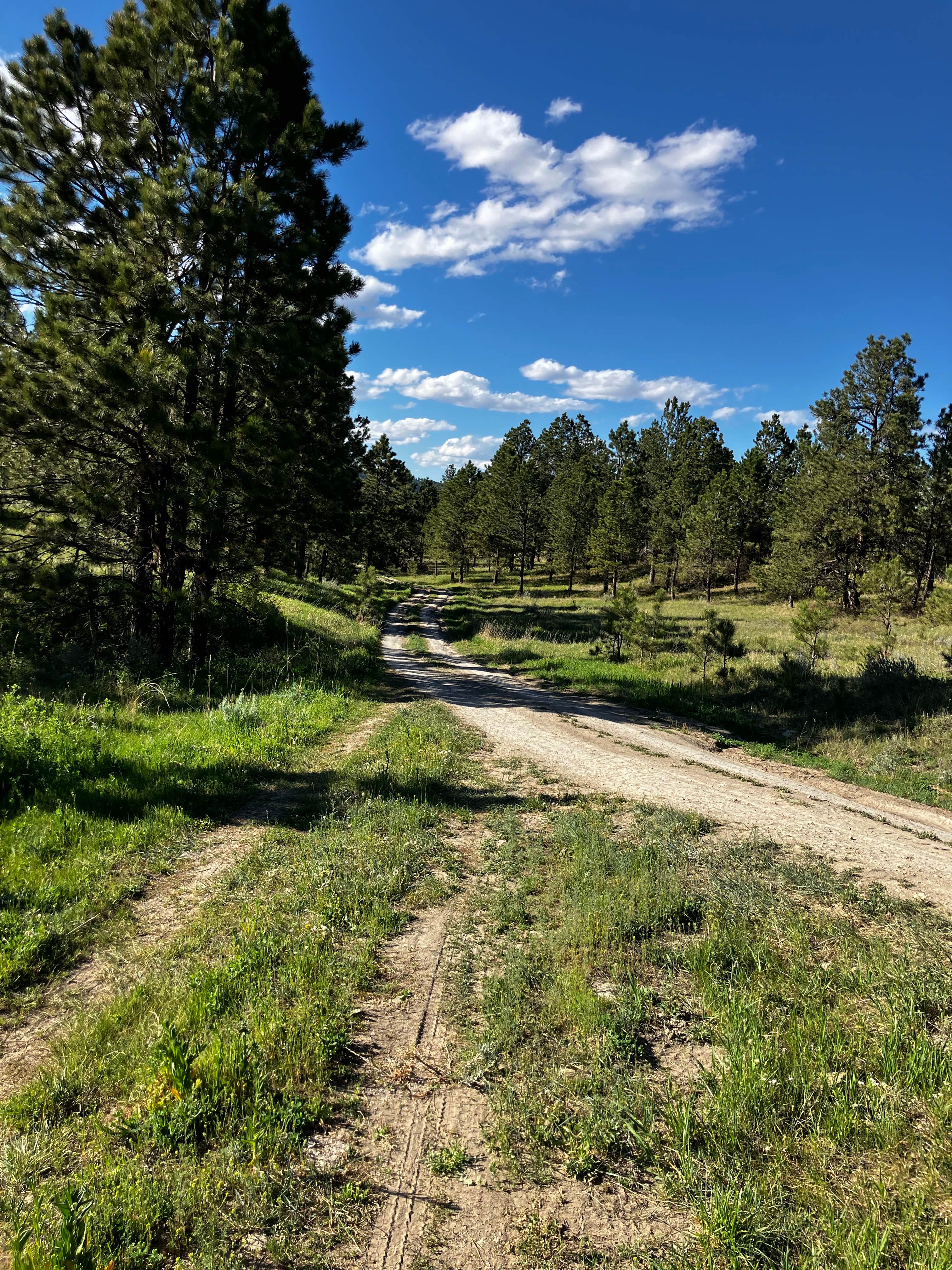 Camper-submitted photo at Macnab Pond Campground near Custer National Forest