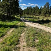 Review photo of Macnab Pond Campground by Bill C., May 14, 2026
