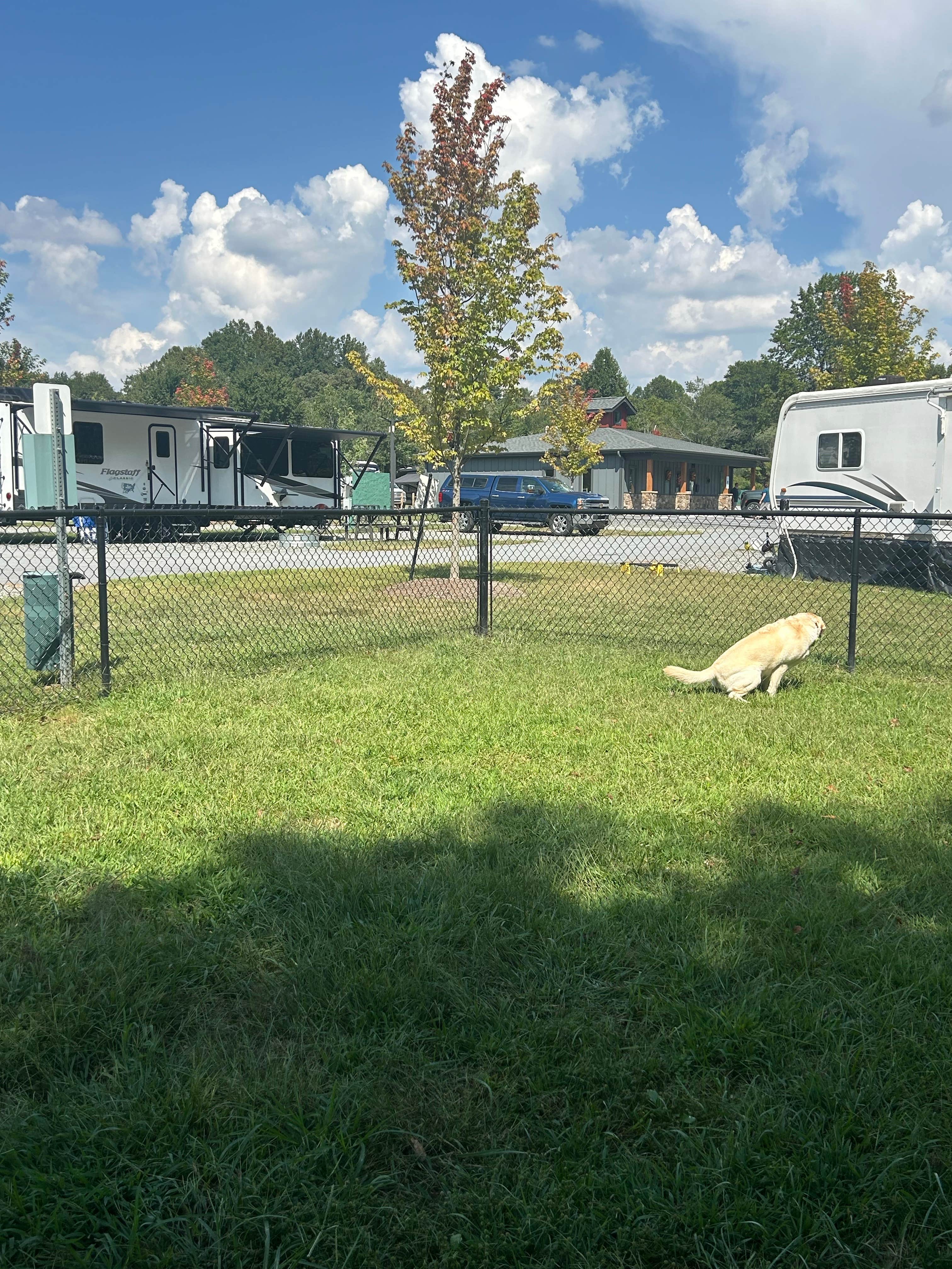 Camper-submitted photo at Maddox Meadows RV Park near Cedar Mountain, NC