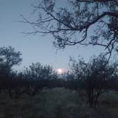 Review photo of Madera Canyon on Proctor Road by Dustin T., December 4, 2025