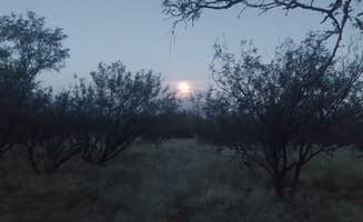 Dustin T.'s photo of a dispersed camping area at Madera Canyon on Proctor Road near Sahuarita, AZ