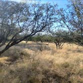 Review photo of Madera Canyon on Proctor Road by Dustin T., December 4, 2025