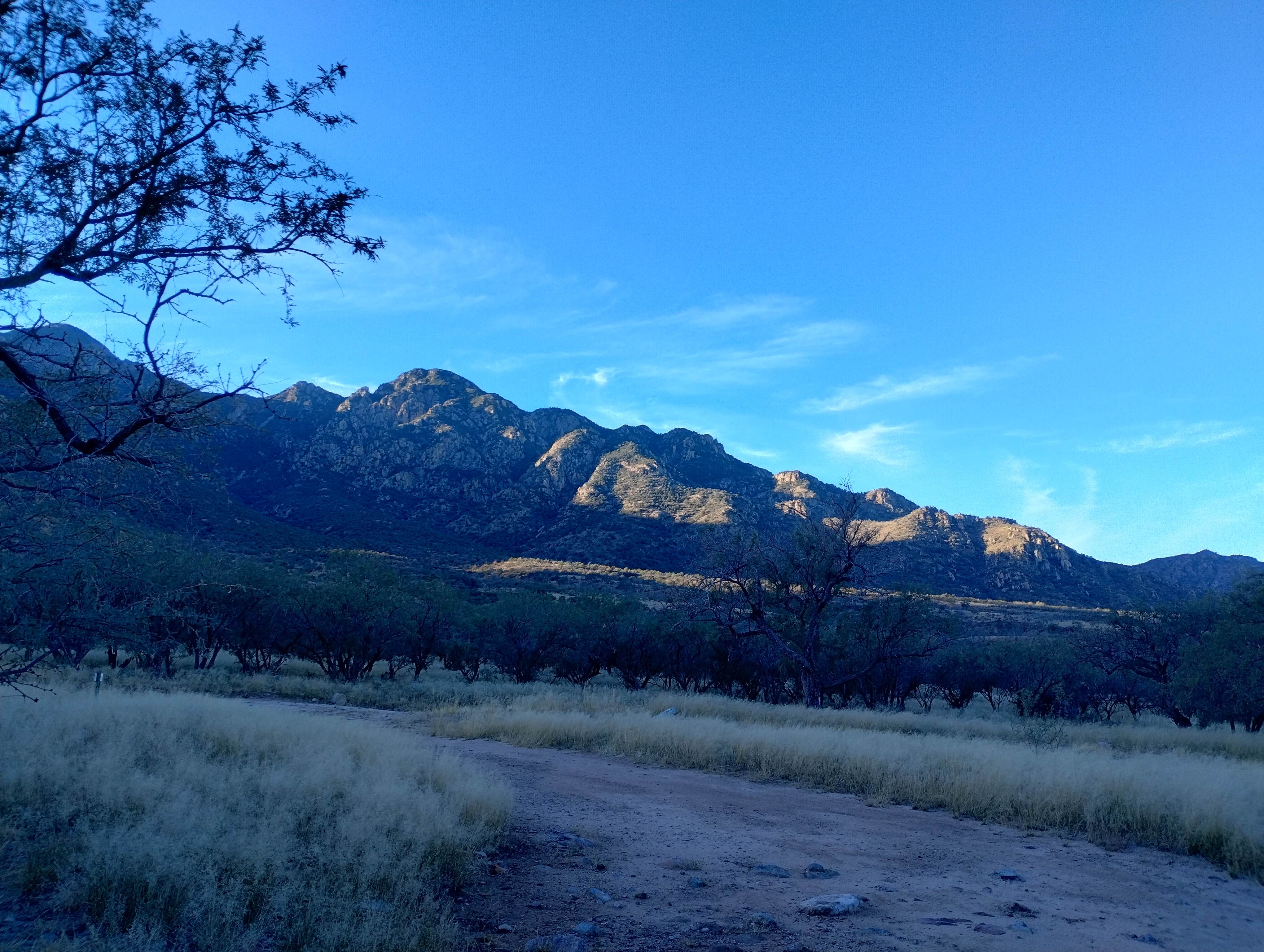 Camper-submitted photo at Madera Canyon on Proctor Road near Tumacacori, AZ