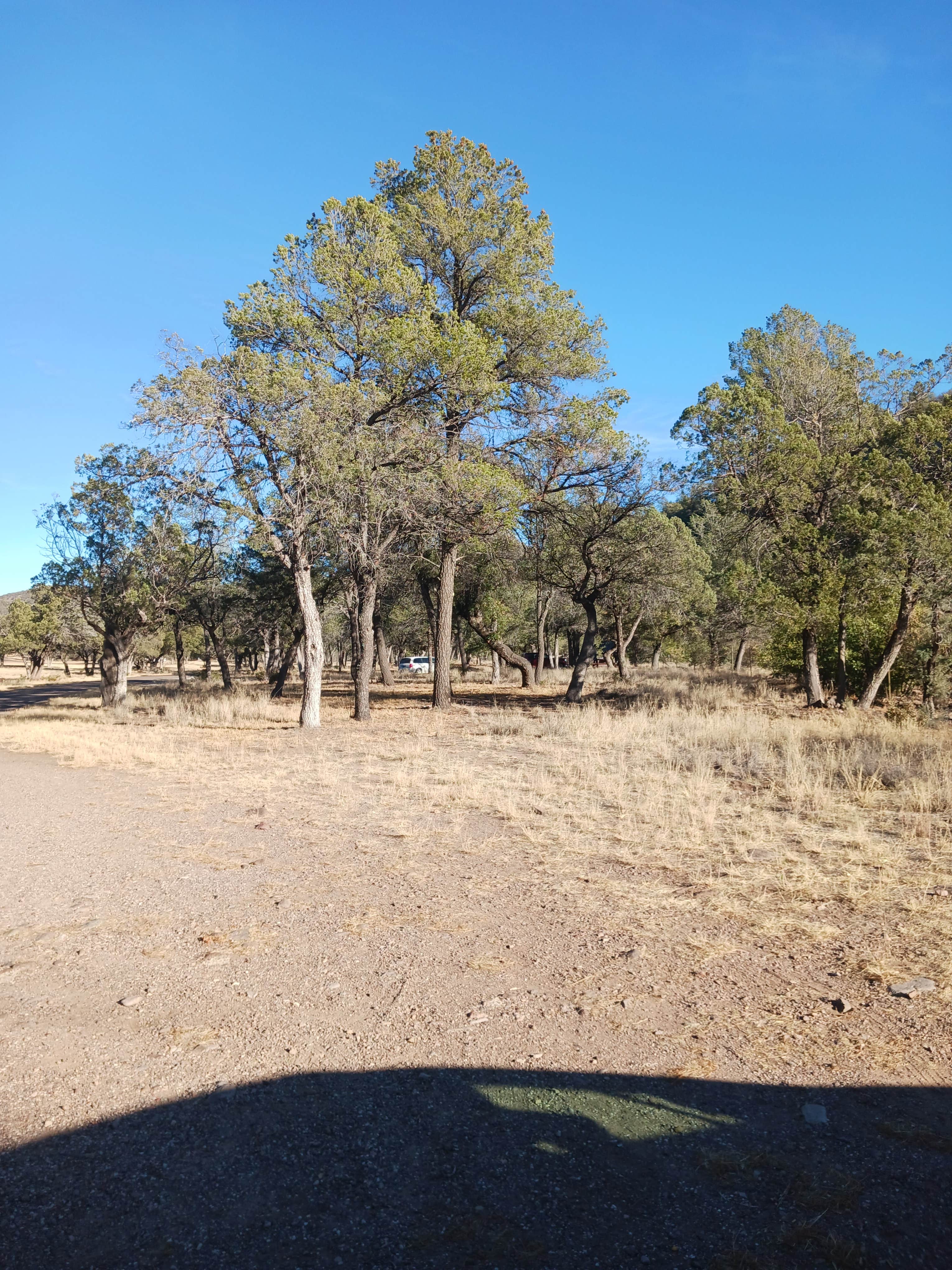 Camper submitted image from Madera Canyon Roadside Park Dispersed - 3