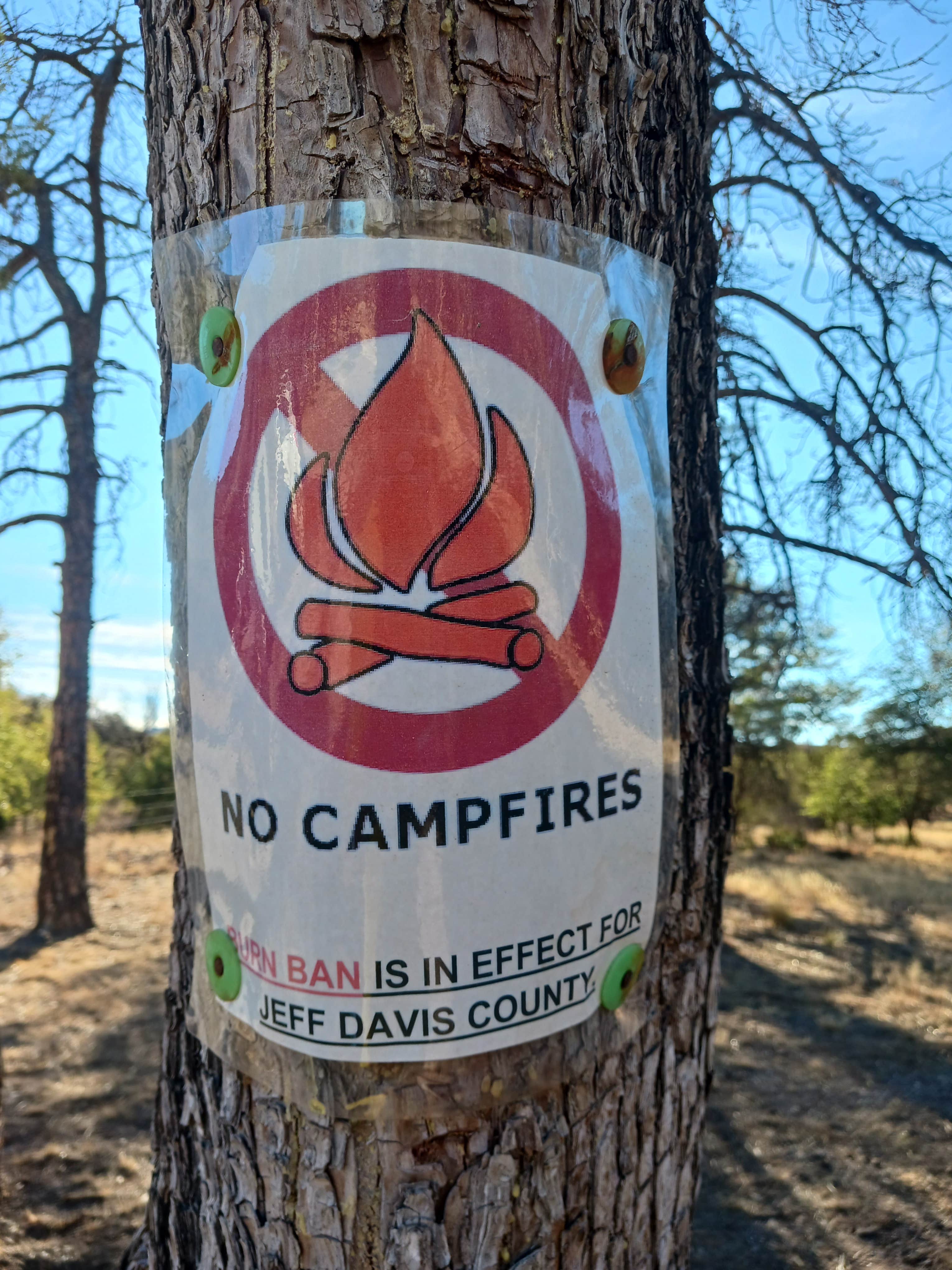 Camper submitted image from Madera Canyon Roadside Park Dispersed - 2