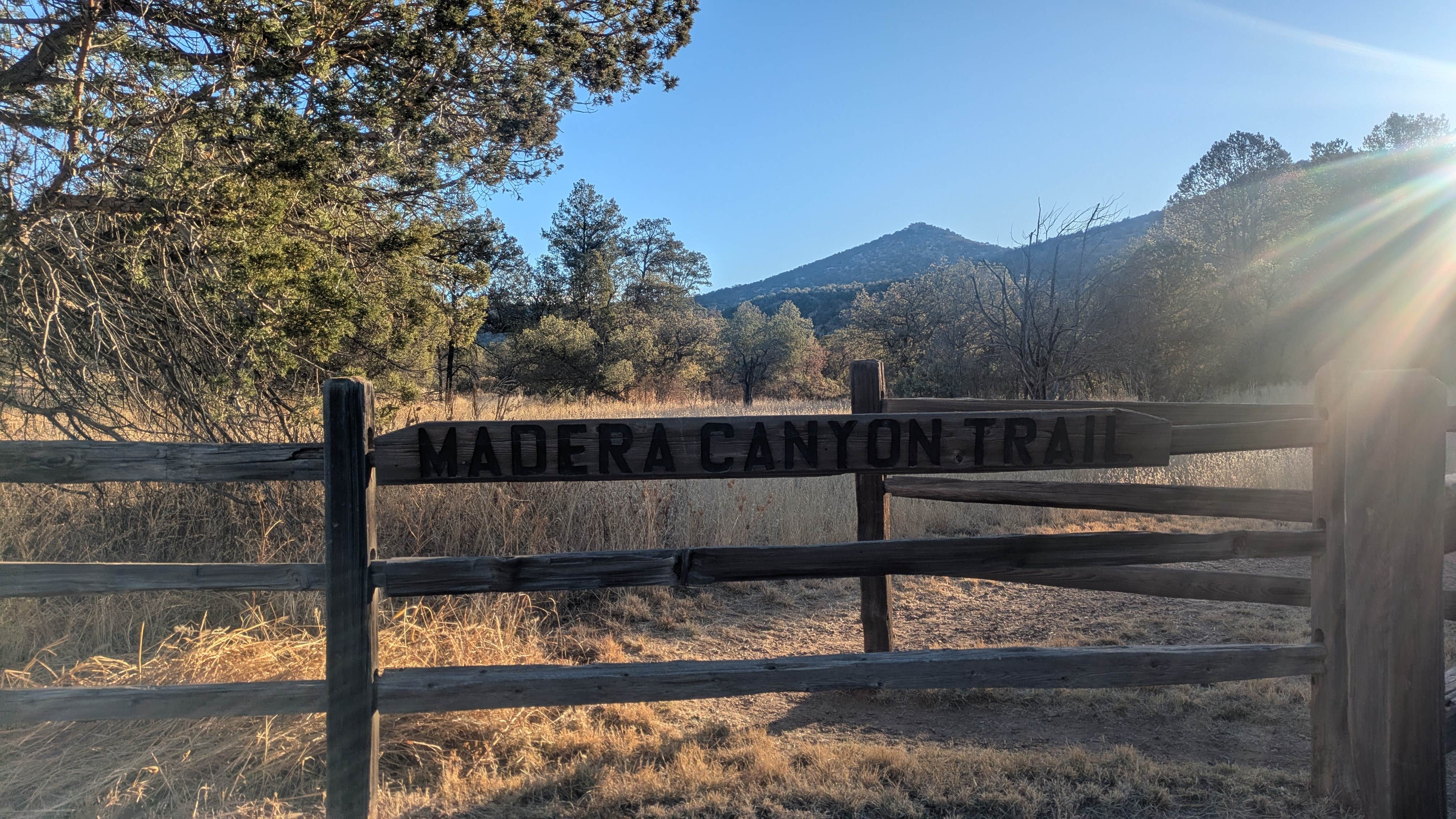 Camper-submitted photo at Madera Canyon Roadside Park Dispersed near Fort Davis, TX