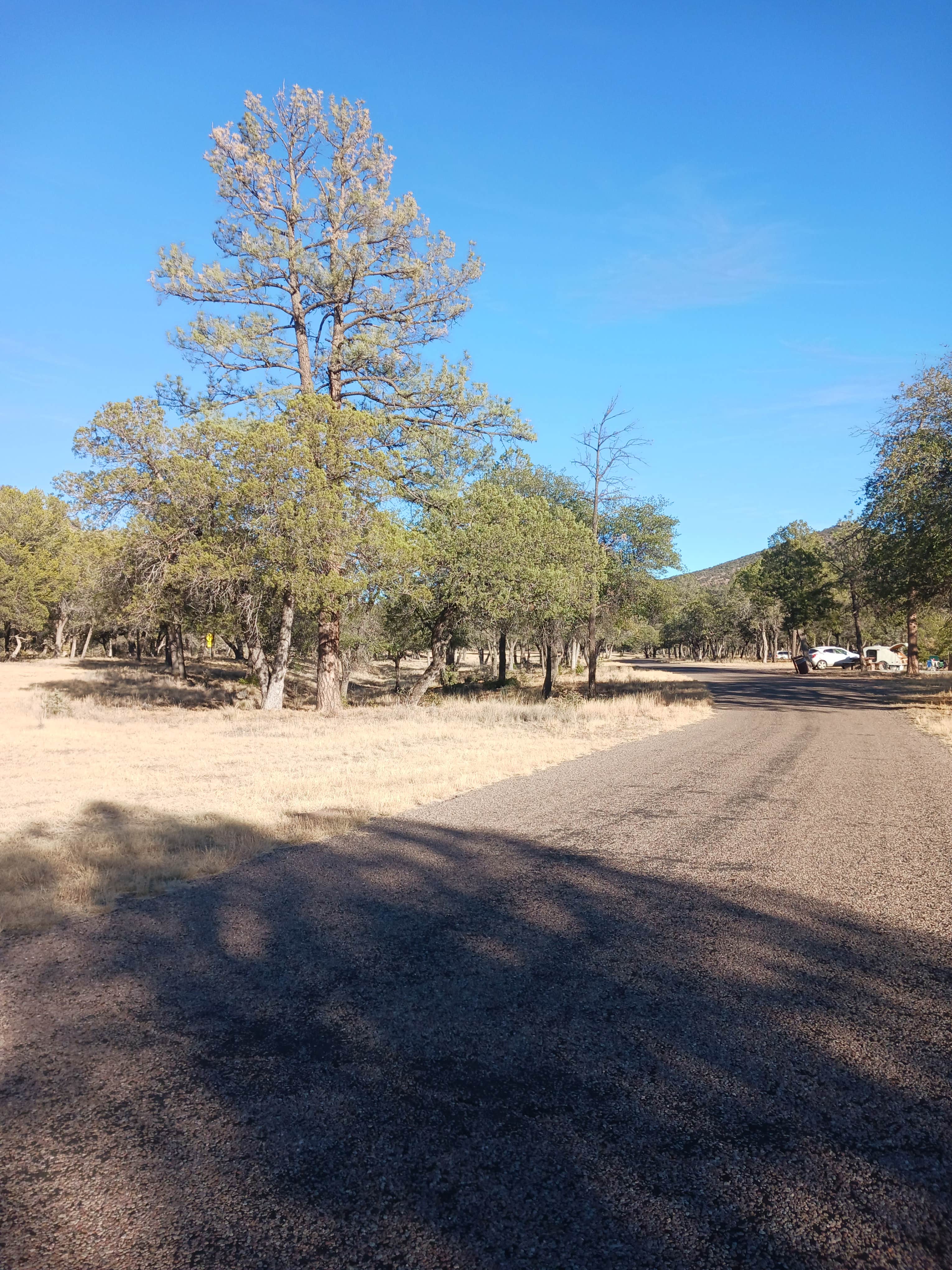 Camper submitted image from Madera Canyon Roadside Park Dispersed - 5