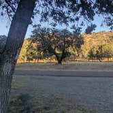 Review photo of Madera Canyon Roadside Park Dispersed by Vidalia S., December 28, 2025
