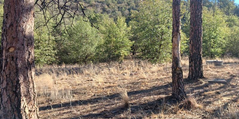 Camper submitted image from Madera Canyon Roadside Park Dispersed