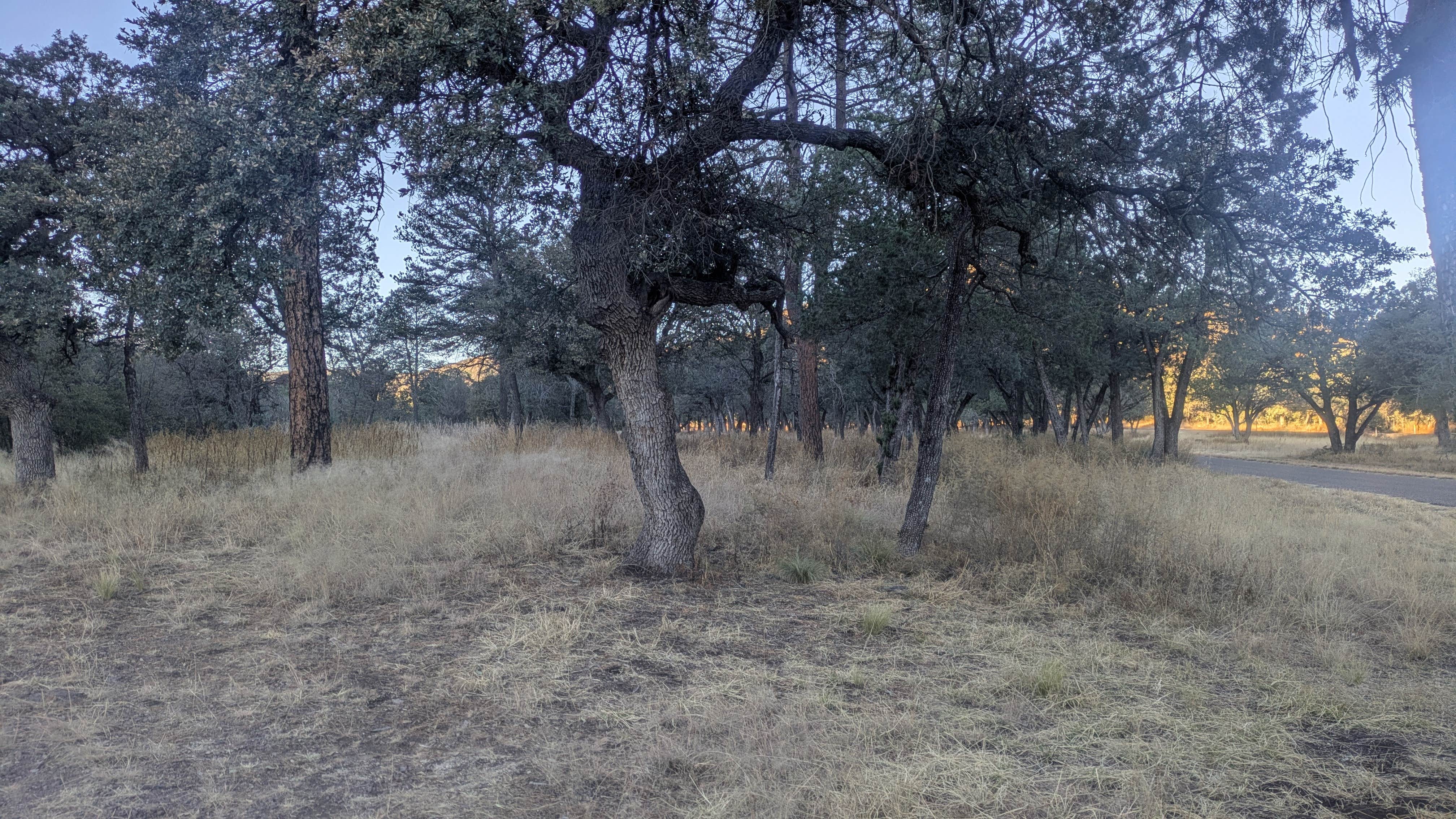 Camping near Van Horn RV Park: Madera Canyon Roadside Park Dispersed, Fort Davis, Texas