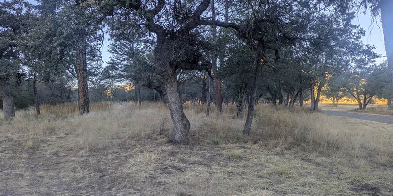 Camper submitted image from Madera Canyon Roadside Park Dispersed