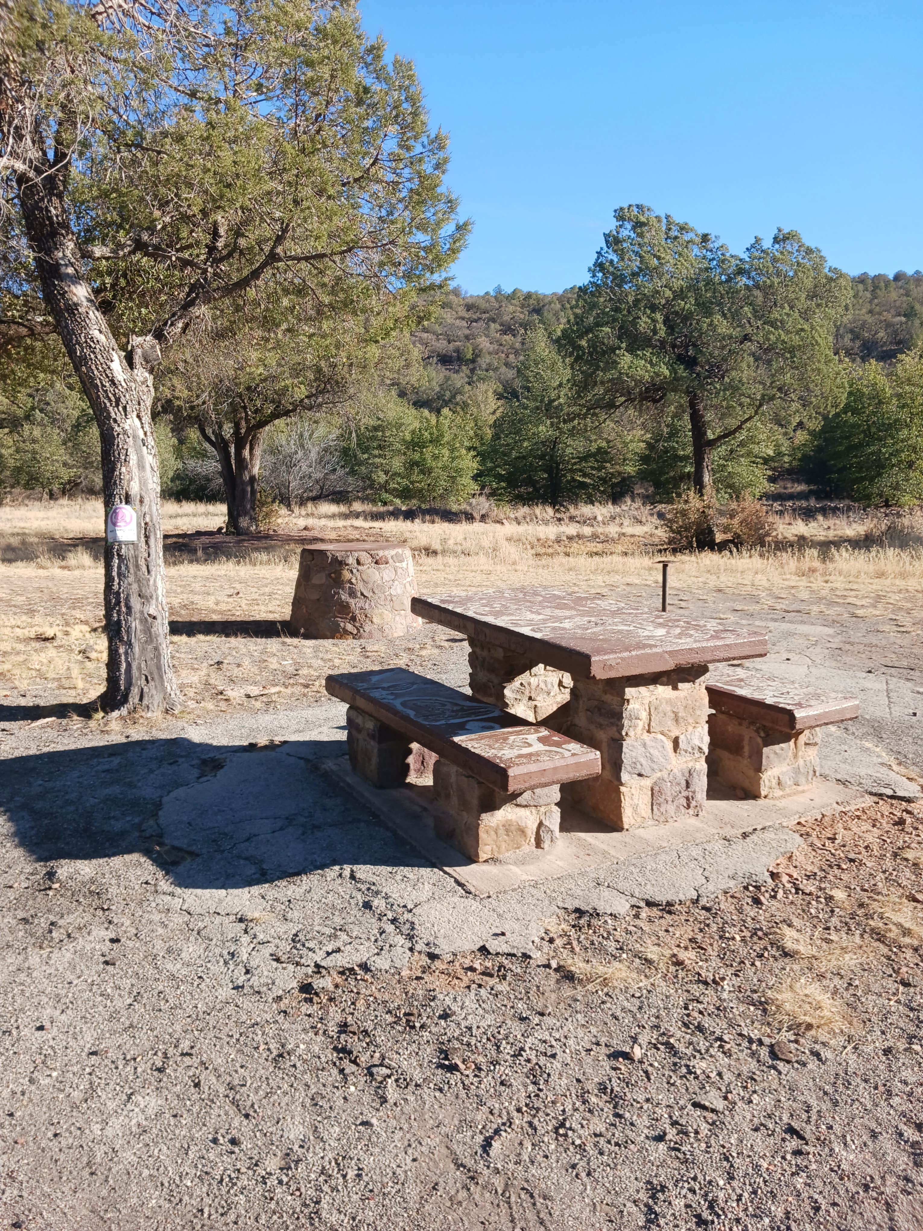 Camper submitted image from Madera Canyon Roadside Park Dispersed - 4