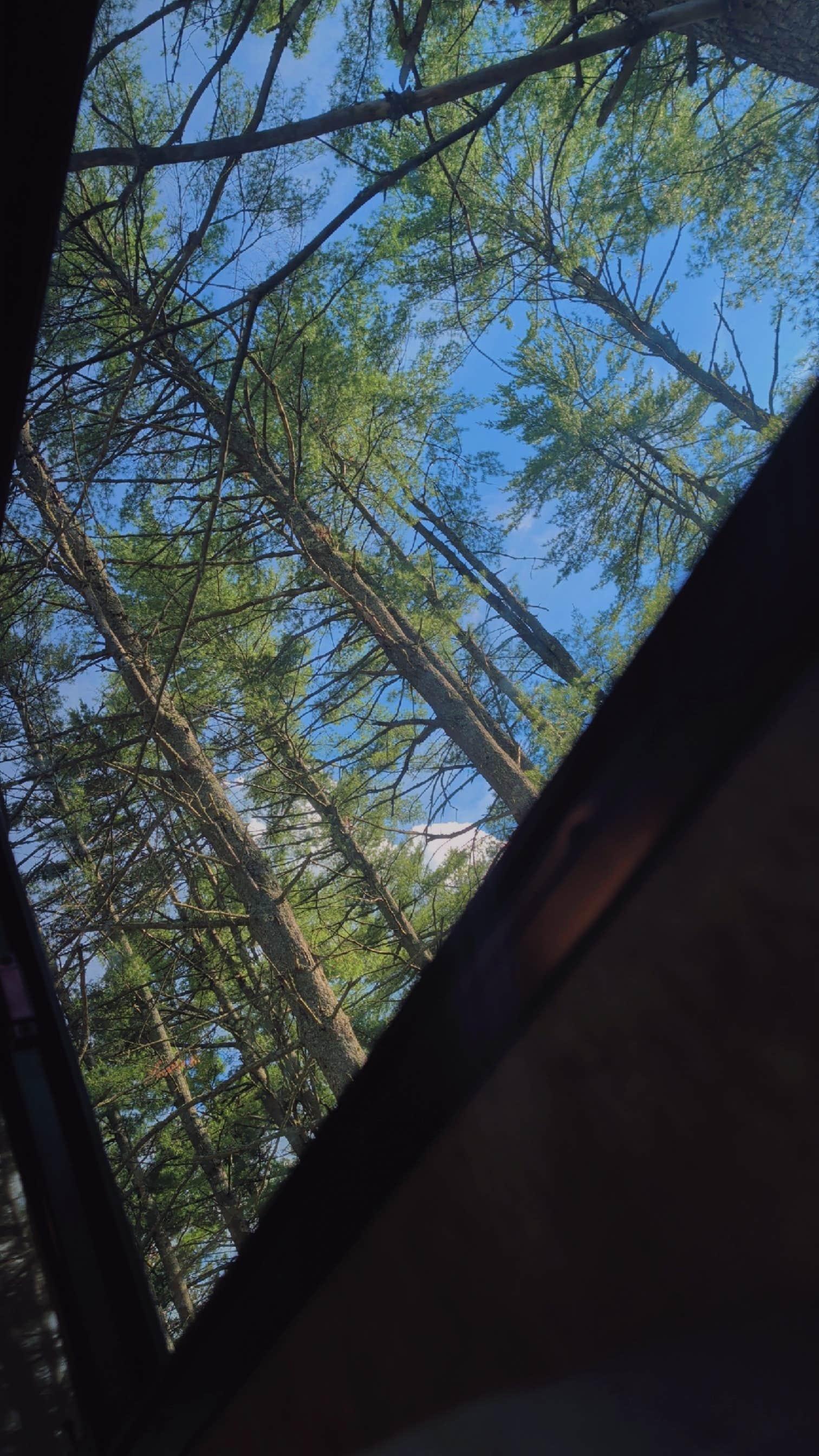 Camping near Camp Whiteface Mountain: Magic Pines, Lewis, New York