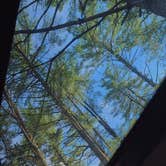 Review photo of Magic Pines by Courtney L., July 20, 2026