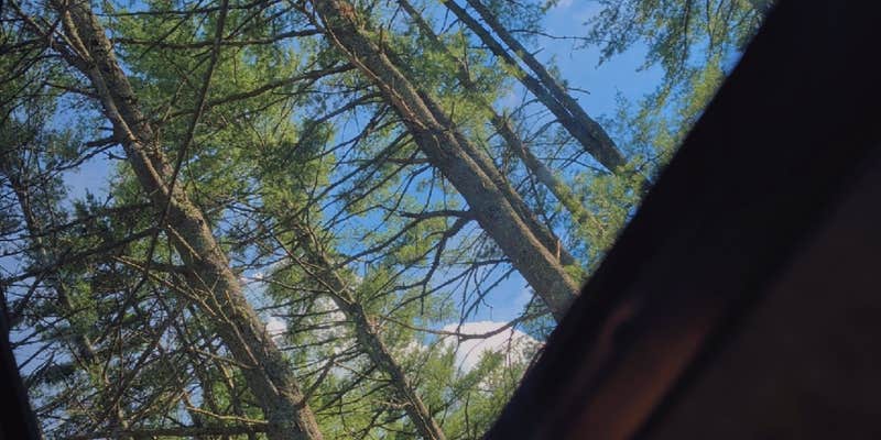 Camper submitted image from Magic Pines