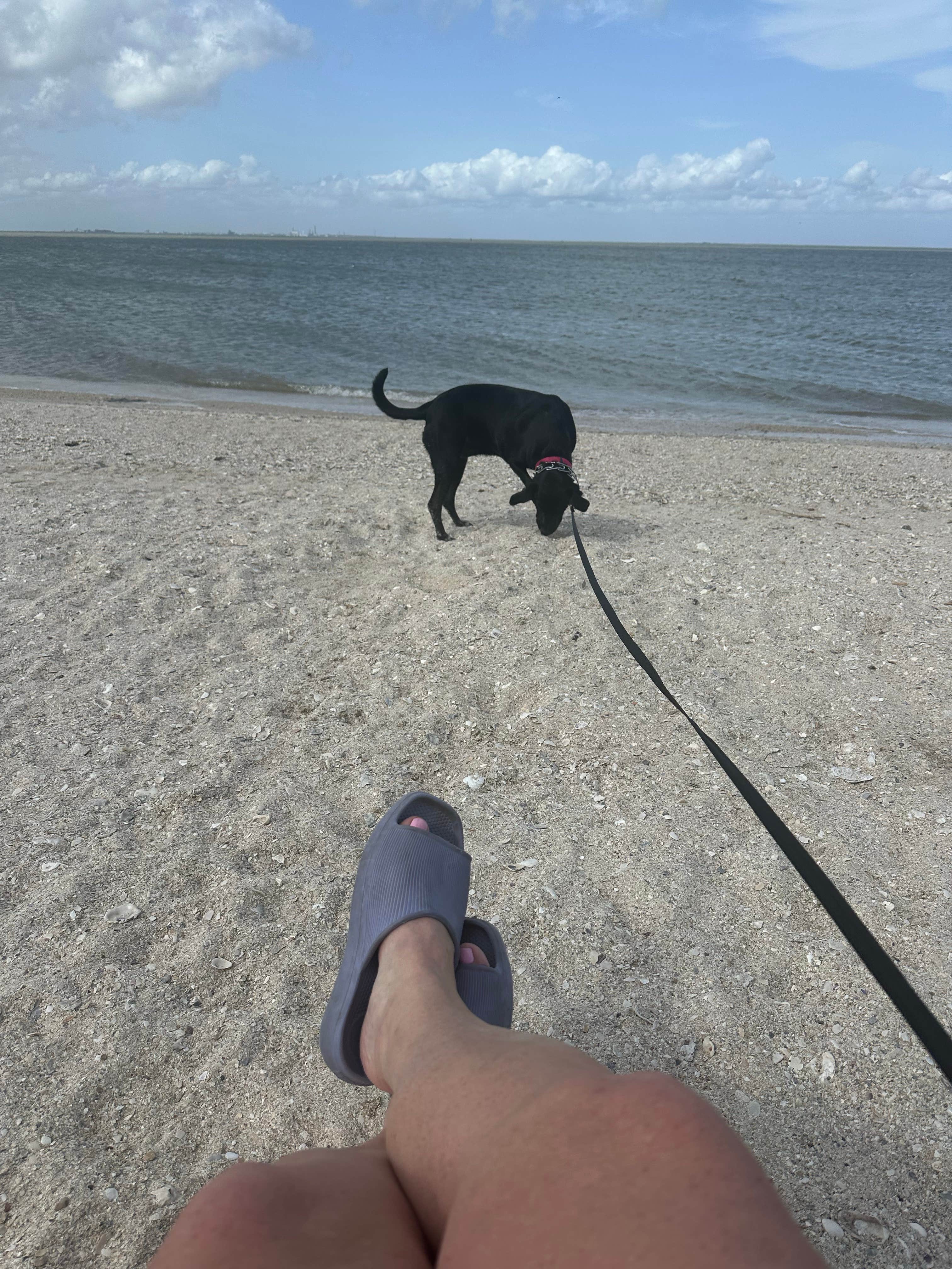 Cindy's photo of camping with pets at Magnolia Beach near Edna, TX