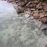 Review photo of Magnolia Beach by Marilyn B., January 23, 2026