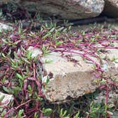 Review photo of Magnolia Beach by Marilyn B., January 23, 2026