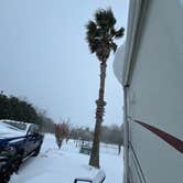 Review photo of Magnolia Farms RV Park by Jenni L., January 23, 2025