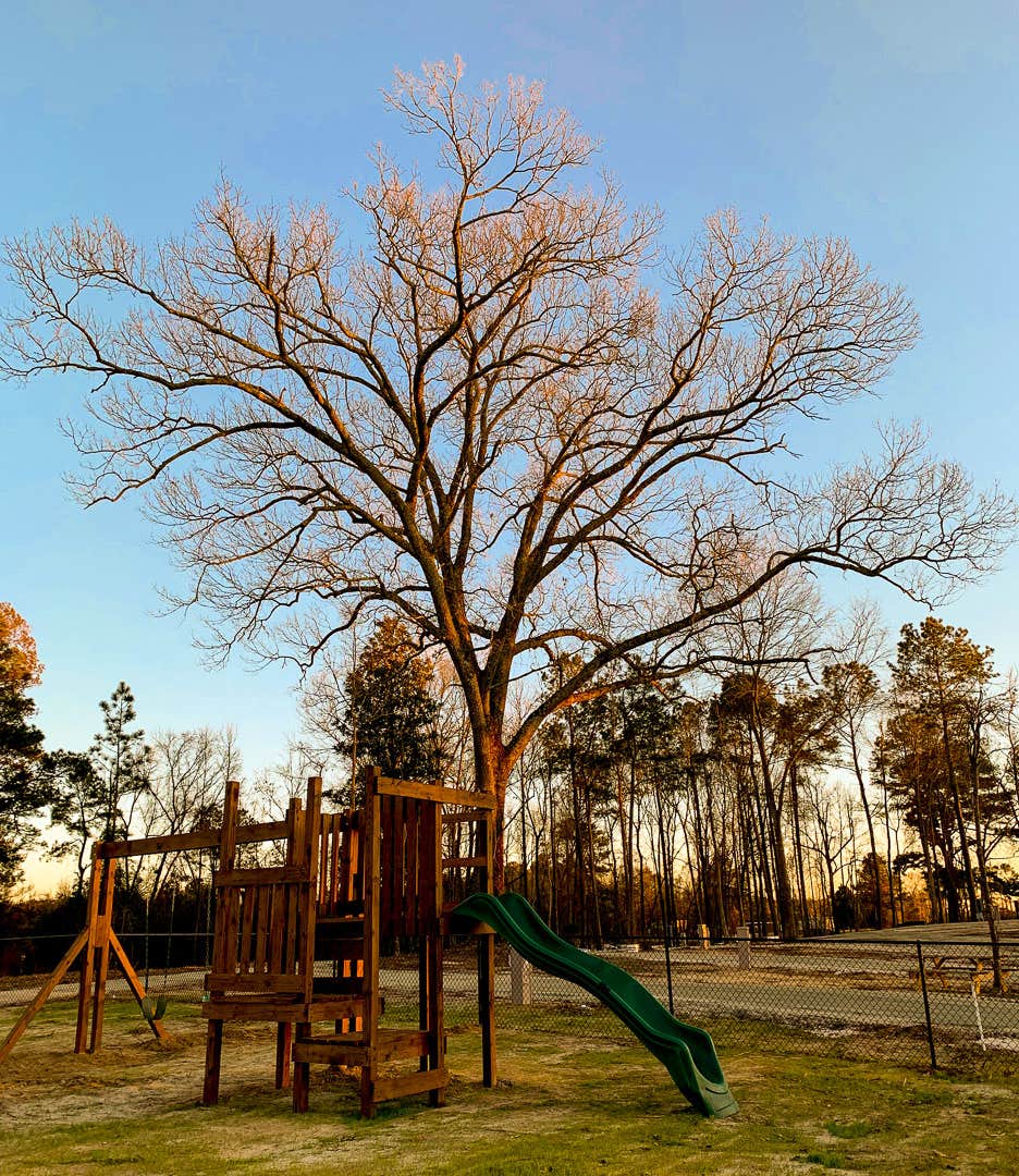 Camper-submitted photo at Magnolia Lane Campground near Pollocksville, NC