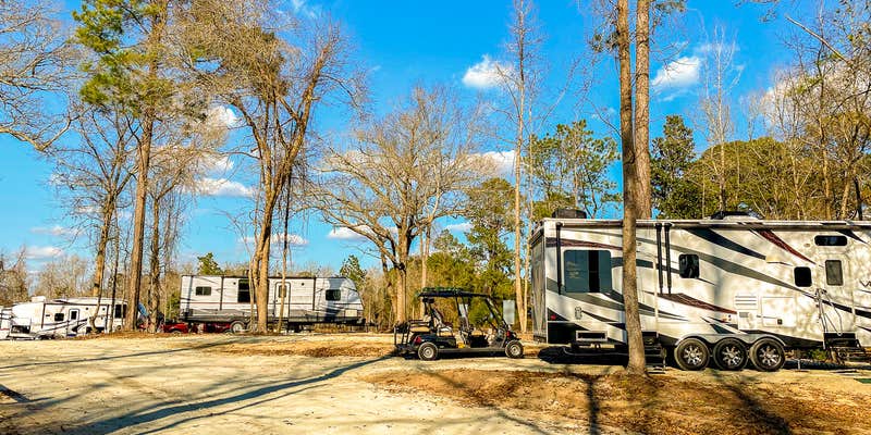 Camper submitted image from Magnolia Lane Campground