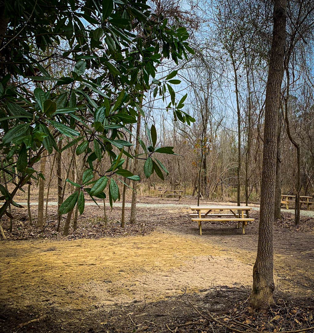 Camper-submitted photo at Magnolia Lane Campground near Pollocksville, NC