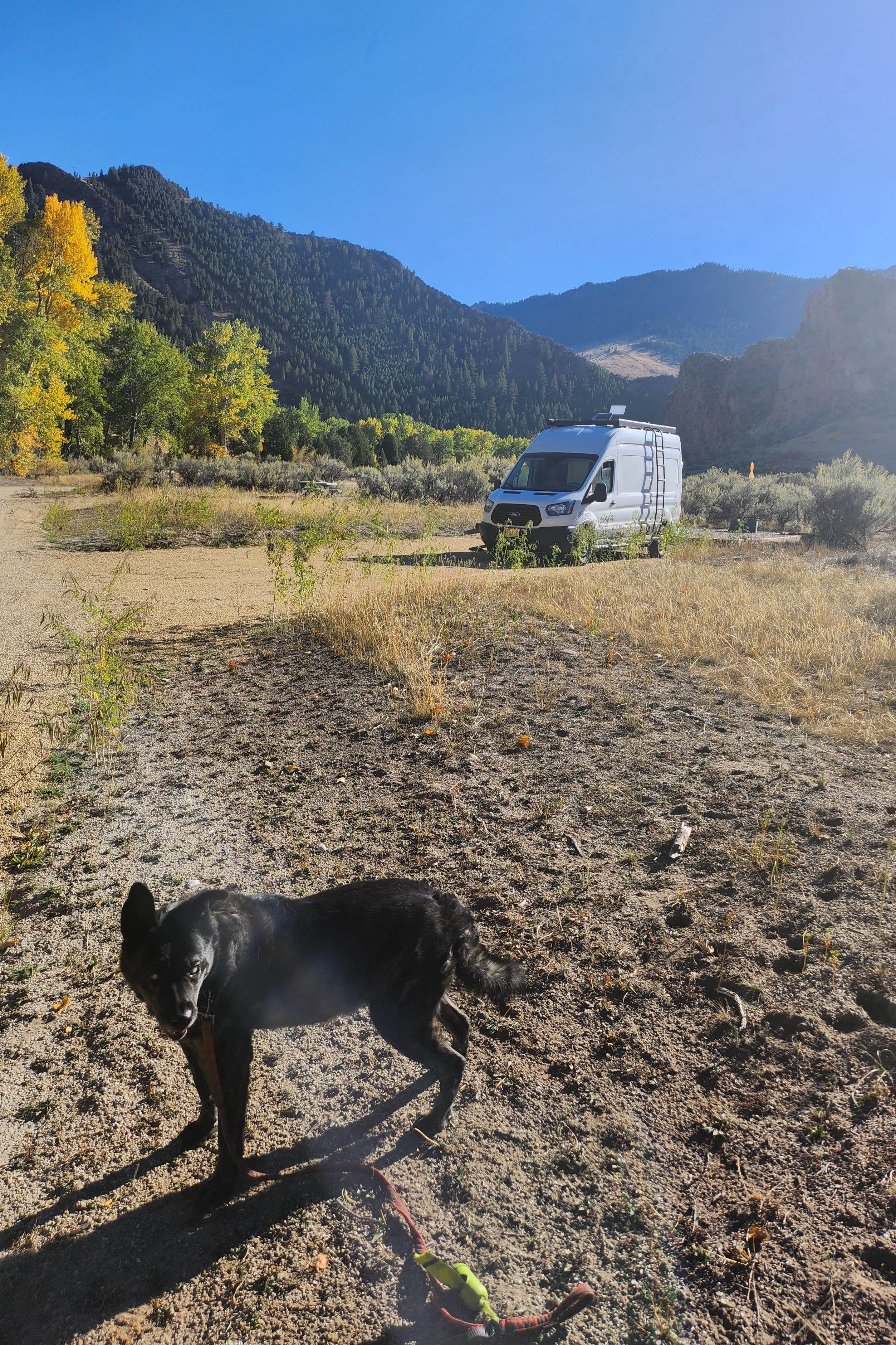 Kelda C.'s photo of camping with pets at Maiden Rock Dispersed near Butte, MT