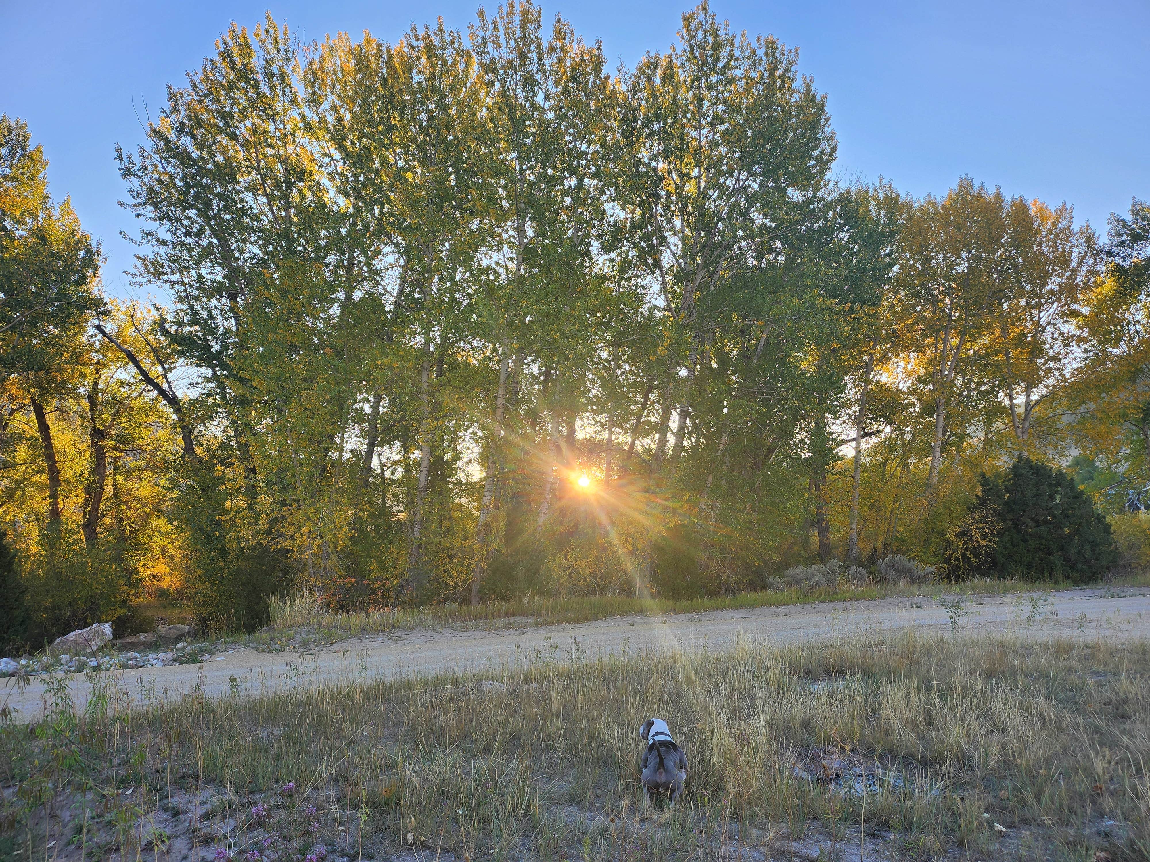 Kelda C.'s photo of a dispersed camping area at Maiden Rock Dispersed near Whitehall, MT