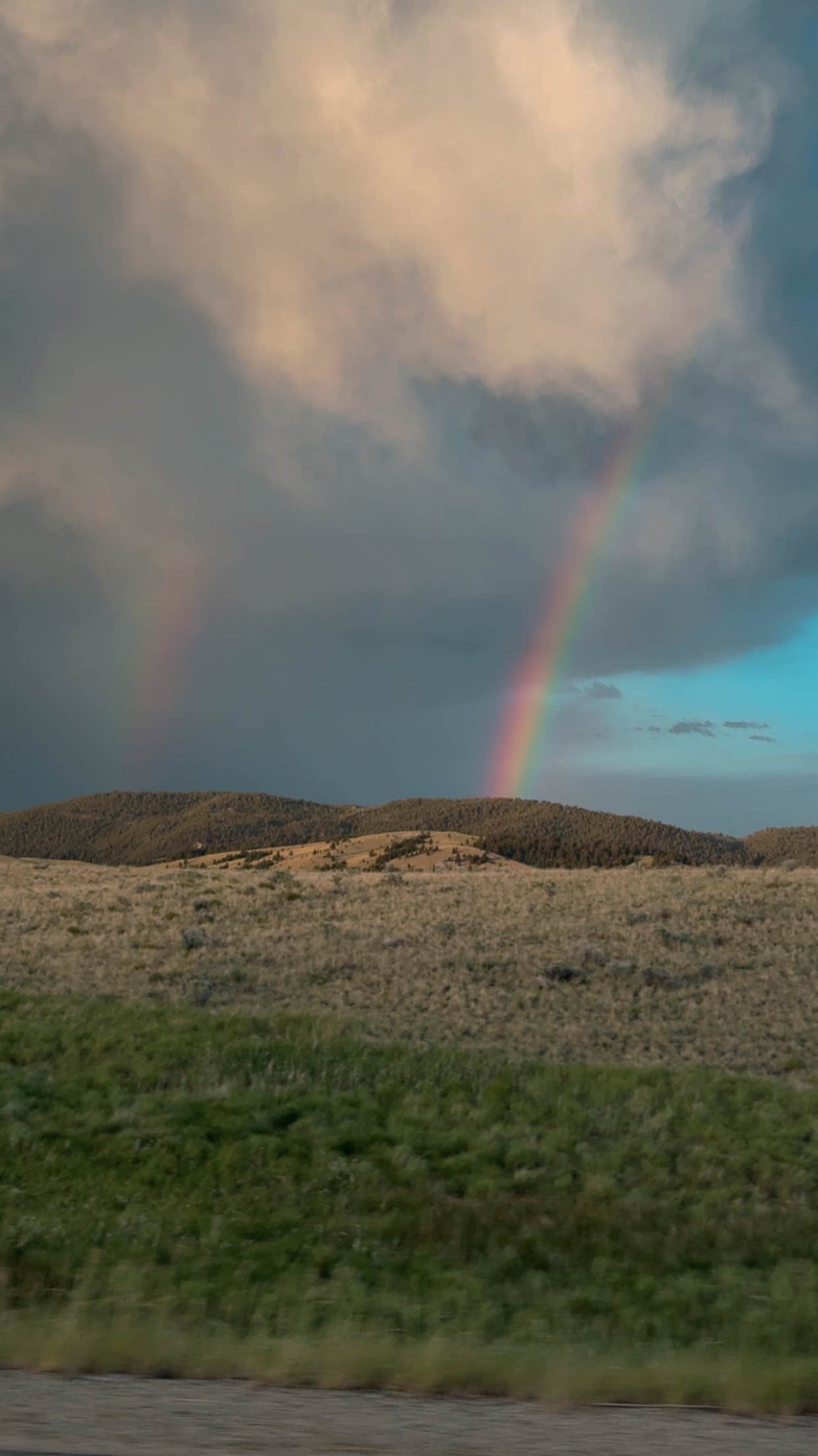 Maddie F.'s photo of a dispersed camping area at Maiden Rock Dispersed near Sheridan, MT