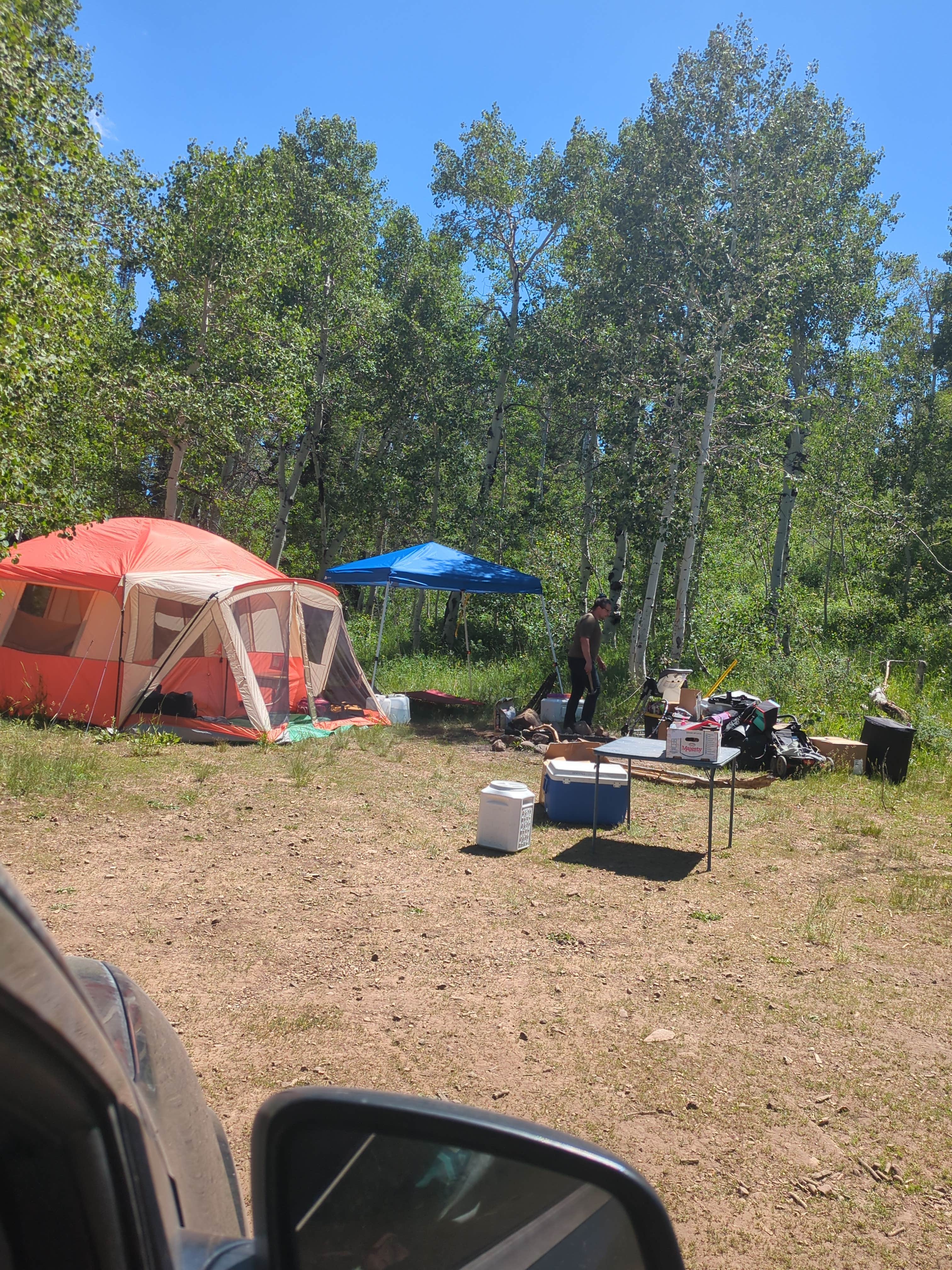 Peyton S.'s photo at Main Canyon Road near Wallsburg, UT