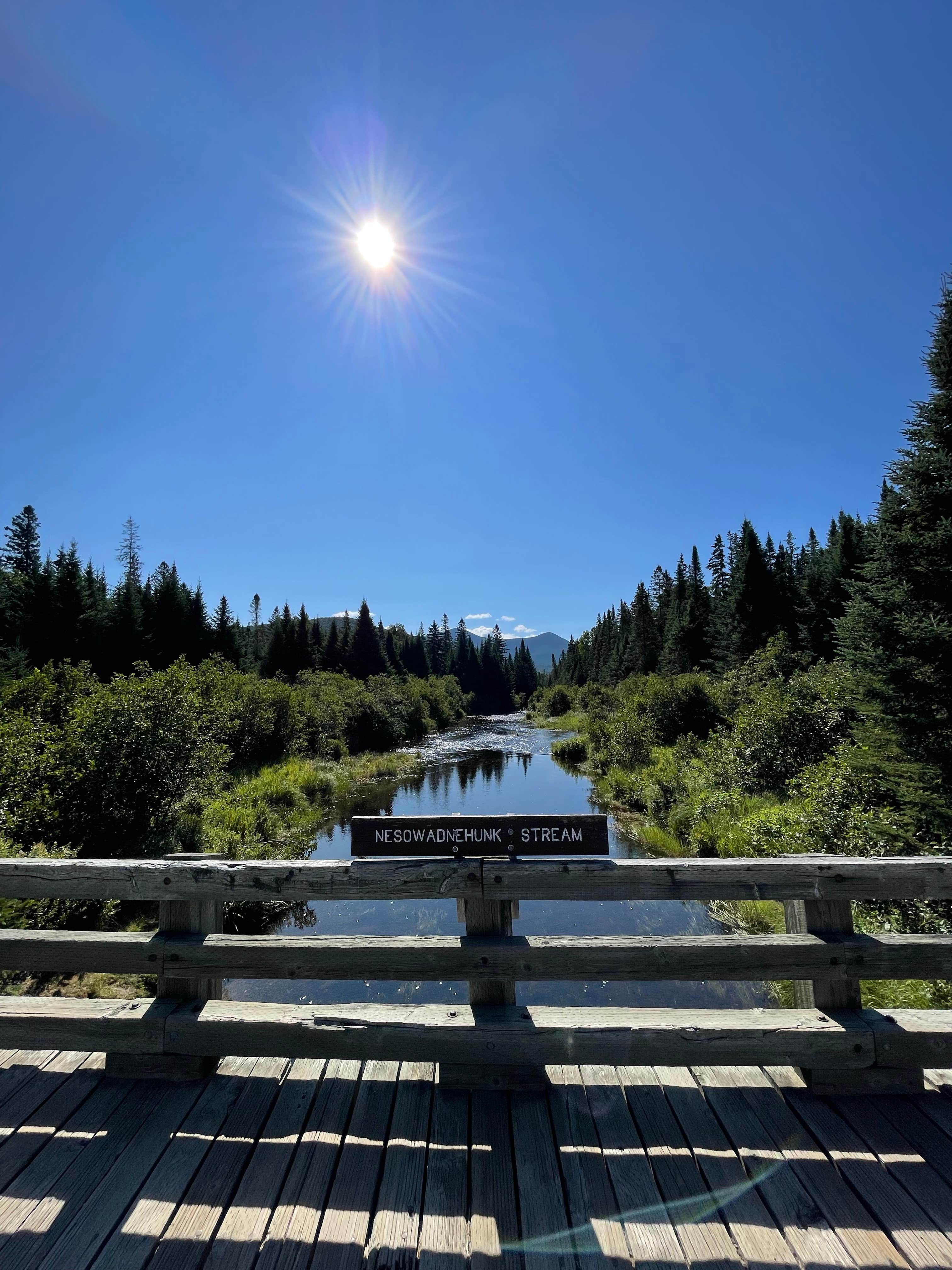Camper submitted image from Nesowadnehunk Field Campground — Baxter State Park - 1