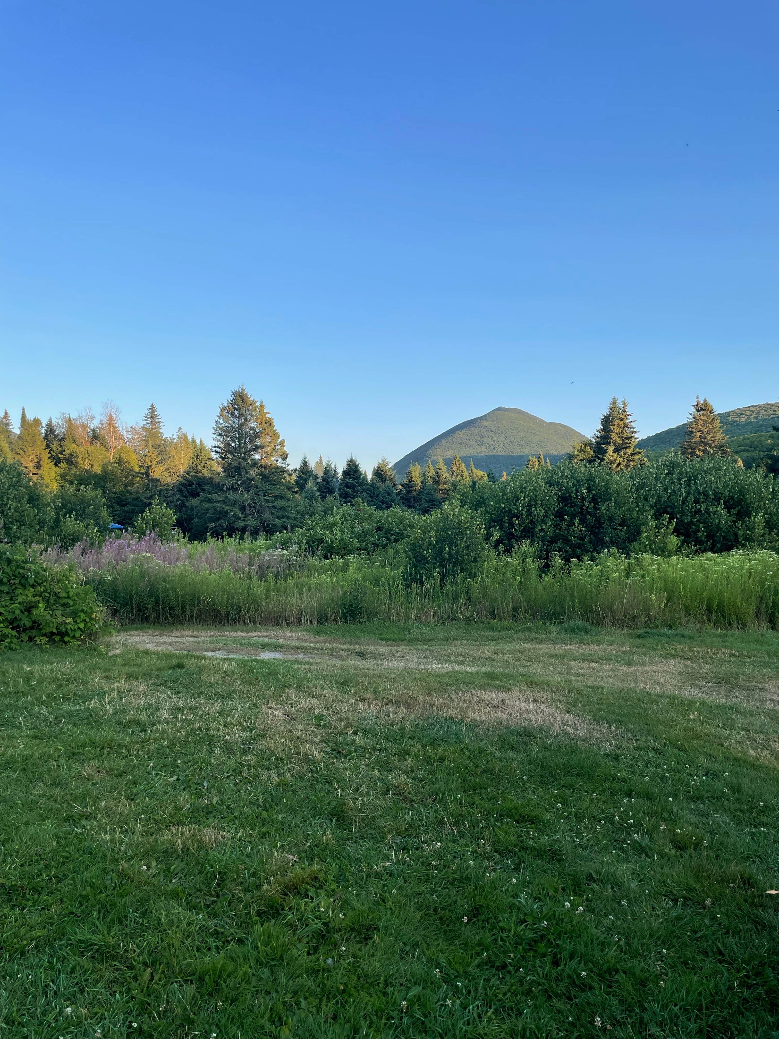Camper-submitted photo at Nesowadnehunk Field Campground — Baxter State Park in Maine