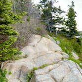 Review photo of Blackwoods Campground — Acadia National Park by Steve A., May 25, 2024