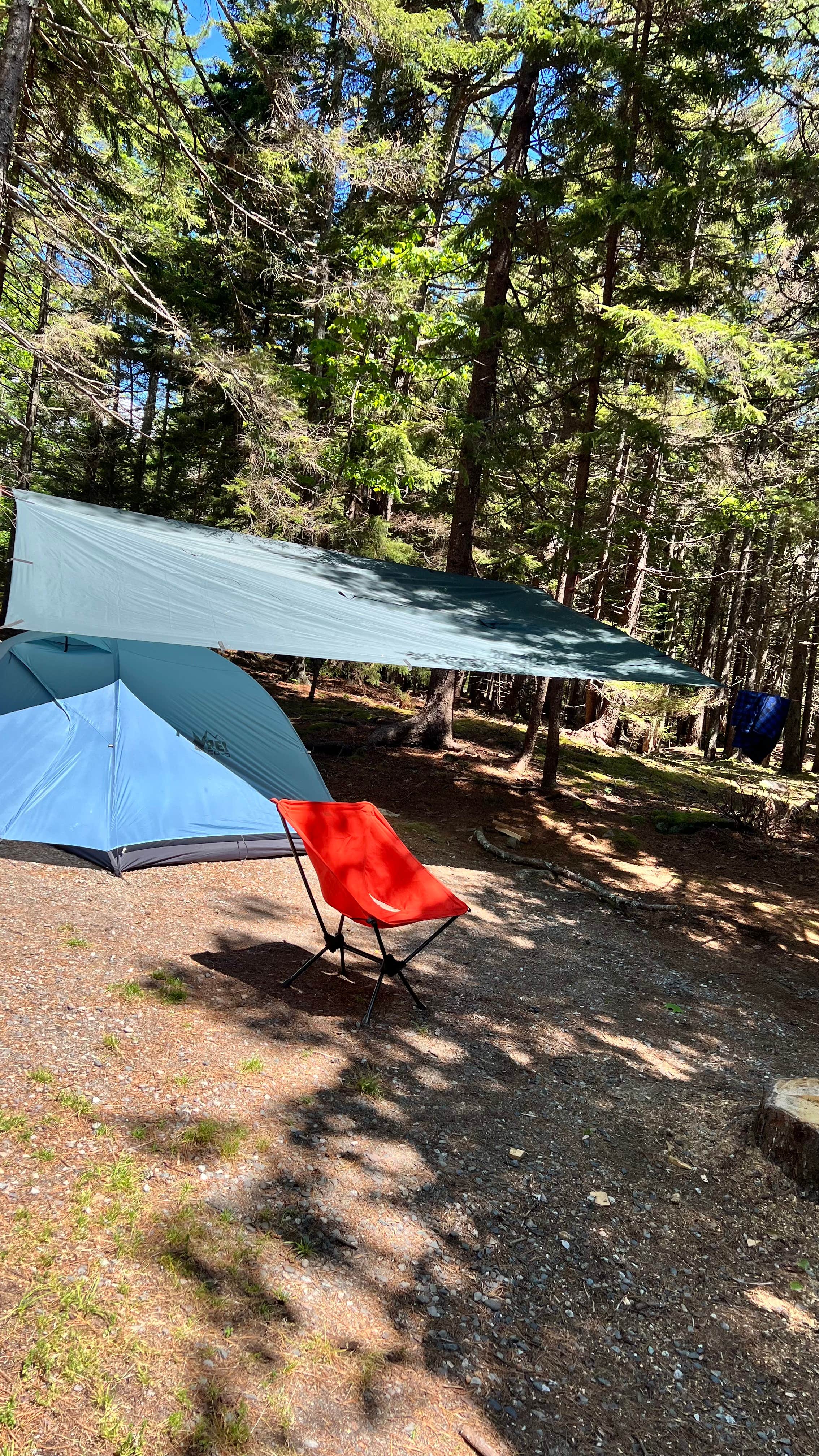 Erik C.'s photo at Blackwoods Campground — Acadia National Park near Acadia National Park