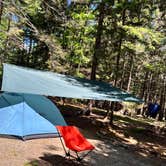 Review photo of Blackwoods Campground — Acadia National Park by Erik C., June 11, 2024