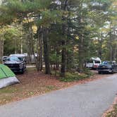 Review photo of Blackwoods Campground — Acadia National Park by Roger W., October 4, 2023