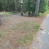 Review photo of Blackwoods Campground — Acadia National Park by Roger W., October 4, 2023