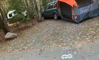 Roger W.'s photo at Blackwoods Campground — Acadia National Park near Acadia National Park