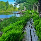 Review photo of Blackwoods Campground — Acadia National Park by Erik C., June 11, 2024